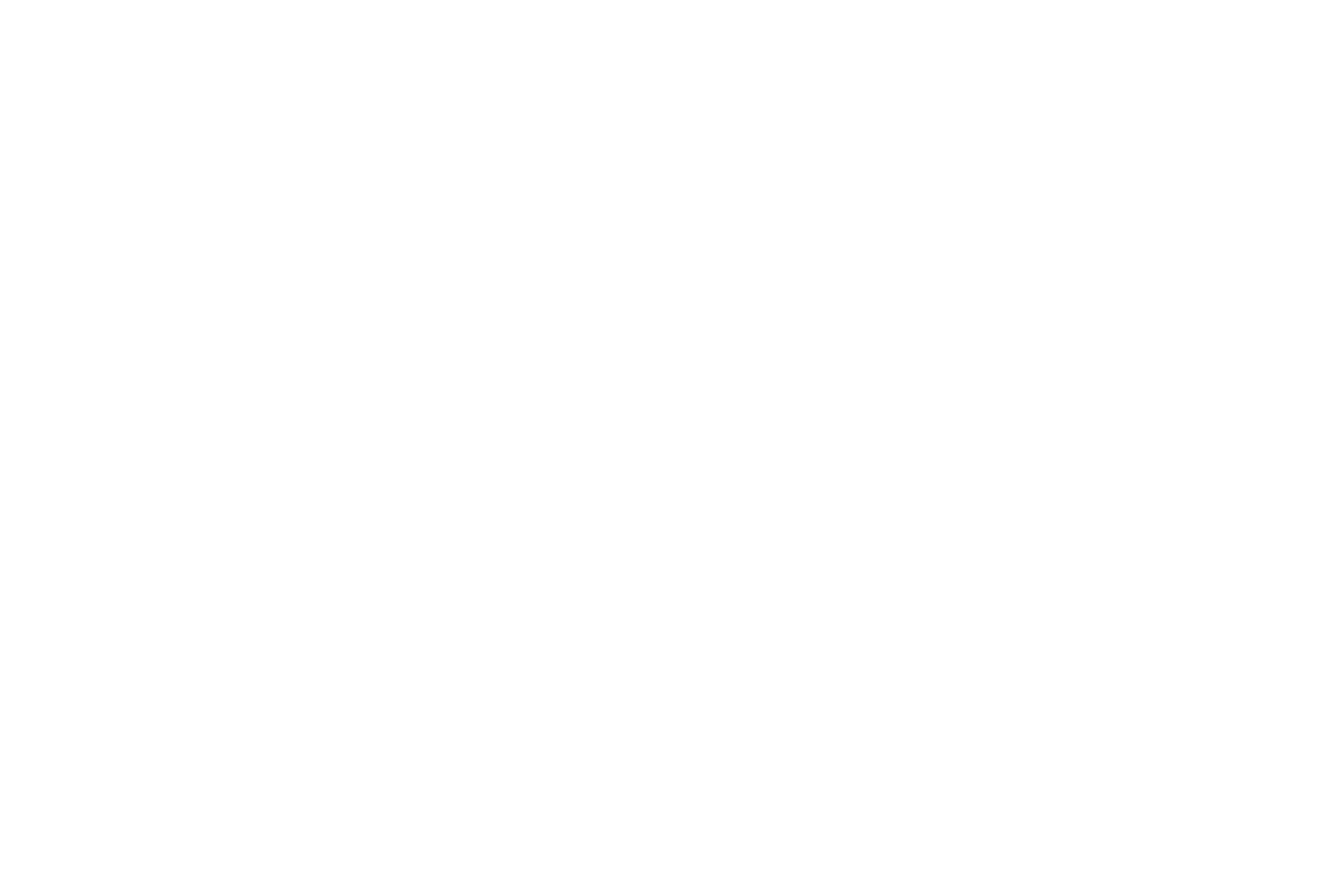 Logo_GrupoFraviva_Blanco